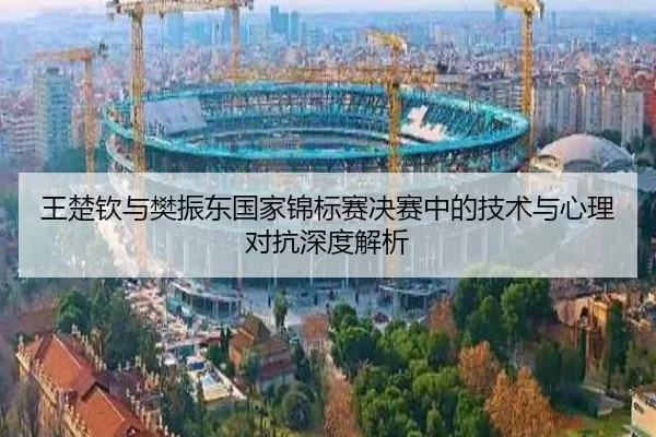 王楚钦与樊振东国家锦标赛决赛中的技术与心理对抗深度解析